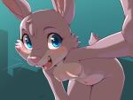 ajin anthro blue_eyes breasts buckteeth female fur grey_body grey_fur lagomorph leporid long_ears looking_at_viewer mammal nude open_mouth rabbit small_breasts smile solo teeth whiskers