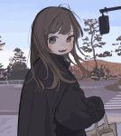  1girl absurdres bag black_jacket blush brown_hair day grey_eyes highres holding holding_bag jacket long_hair long_sleeves looking_at_viewer mountain open_mouth original outdoors road sky solo street tree yunoki_itsugu 