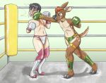  2019 anthro black_hair black_nose boots boxing boxng_gloves brown_fur bulge cervid clothing dcheese duo fight fighting_ring footwear fur green_eyes hair human human_on_anthro interspecies legwear male male/male mammal orange_hair red_hair sport standing thigh_highs tight_clothing traditional_media_(artwork) young 