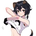  1girl animal_ears arknights bare_shoulders black_gloves black_hair blush braid brown_eyes chomo_o12 closed_mouth commentary_request dog_ears dog_girl dog_tail gloves hair_between_eyes highres jackie_(arknights) looking_at_viewer shirt short_eyebrows simple_background single_braid smile solo tail thick_eyebrows undressing upper_body white_background white_shirt 