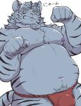 2024 anthro asian_clothing belly big_belly blush clothing collar east_asian_clothing felid fundoshi hi_res humanoid_hands japanese_clothing kemono male mammal moobs navel nipples overweight overweight_male pantherine red_clothing red_fundoshi red_underwear simple_background solo tiger toraya_inugami underwear white_background