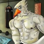 abs absurd_res avian barbell beak bedroom_eyes bird bodily_fluids detailed_background digital_media_(artwork) electronics feathers fluffy gull gym hi_res lari larid muscular narrowed_eyes nipples phone punching_bag seductive shaded signature sweat towel vein veiny_muscles xcoreus