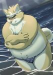 2024 anthro asian_clothing belly big_belly canid canine canis clothing cloud detailed_background domestic_dog east_asian_clothing fundoshi hi_res hisashiyo_0705 humanoid_hands japanese_clothing kemono male mammal moobs musashi_(tamacolle) outside overweight overweight_male solo tamacolle underwear water