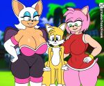 age_difference amy_rose anthro bat big_breasts breasts canid canine duo eulipotyphlan female fox hedgehog imminent_sex larger_female lipstick makeup male male/female mammal miles_prower older_female rouge_the_bat sega size_difference smaller_male sonic_the_hedgehog_(series) thick_thighs toxicfrank younger_male