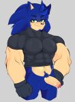 anthro balls bodily_fluids facial_hair foreskin genital_fluids genitals hi_res looking_at_viewer male muscular muscular_male penis precum pubes sega solo sonic_the_hedgehog sonic_the_hedgehog_(series) zeeko