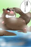 2024 anthro balls belly big_belly blush brown_body dialogue erection genitals hi_res japanese_text kemono male mammal moobs navel nipples overweight overweight_male penis shibatanukiti solo steam suid suina sus_(pig) text water wild_boar