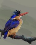  animal_focus beak bird black_eyes blue_bird branch chinese_commentary commentary_request grey_background kingfisher no_humans original simple_background sitting_on_branch solid_eyes solo wu_xiao_xian 