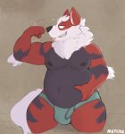anthro arcanine arm_tuft belly biceps blush bulge canid canine chromawolf claws clothed clothing elbow_tuft flexible flexing flexing_bicep generation_1_pokemon grabbing_stomach hi_res holding_belly male mammal muscular muscular_anthro muscular_male navel neck_tuft nintendo nipples overweight overweight_anthro overweight_male pecs pokemon pokemon_(species) sharp_teeth signature solo stained_underwear teeth teeth_showing thick_thighs tongue tuft underwear underwear_only