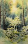  bare_tree bush dappled_sunlight day forest highres nature no_humans original painting_(medium) plant sapling scenery shimizu_megumi_(m_acquerello) sunlight traditional_media tree watercolor_(medium) 