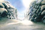  dappled_sunlight day forest highres nature no_humans original painting_(medium) plant scenery shadow shimizu_megumi_(m_acquerello) snow snowing sunlight traditional_media tree watercolor_(medium) 