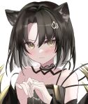  1girl animal_ears arknights bare_shoulders black_hair black_shirt blush cat_ears cat_girl closed_mouth collarbone dot_nose forehead highres looking_at_viewer mandragora_(arknights) own_hands_together parted_bangs portrait raramente shirt simple_background solo strapless strapless_shirt white_background yellow_eyes 