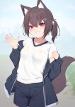  1girl absurdres animal_ear_fluff animal_ears black_jacket black_shorts blue_sky breasts brown_hair cloud commentary_request day fox_ears fox_girl fox_tail grin gym_shirt gym_shorts gym_uniform hair_between_eyes hair_ornament hairclip hands_up highres hinata_(user_rjkt4745) jacket long_sleeves looking_at_viewer off_shoulder open_clothes open_jacket original outdoors ponytail puffy_long_sleeves puffy_sleeves purple_eyes shirt shorts sky sleeves_past_wrists small_breasts smile solo tail white_shirt 