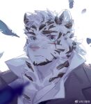  1boy animal_ears arknights artist_request bara expressionless facial_hair feathers furry furry_male goatee looking_at_viewer male_focus mountain_(arknights) official_alternate_costume parted_lips pectoral_cleavage pectorals portrait scar scar_across_eye short_hair solo tareme thick_eyebrows tiger_boy tiger_ears vest white_hair 
