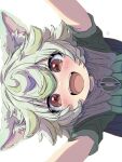  1girl absurdres animal_ear_fluff animal_ears blush cape cat_ears child flipped_hair green_brooch green_hair green_shirt grey_cape hair_between_eyes happy highres looking_at_viewer looking_down made_in_abyss open_mouth prushka red_eyes sekaineko_001 shirt short_hair solo teeth upper_teeth_only white_background 