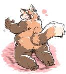  2024 5_fingers ailurid anthro balls barely_visible_balls barely_visible_genitalia belly blush brown_body butt fingers genitals heart_symbol humanoid_hands kemono kotadash male mammal overweight overweight_male red_panda simple_background solo 