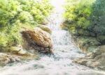  bush dappled_sunlight forest highres nature no_humans original painting_(medium) plant river riverbank scenery shadow shimizu_megumi_(m_acquerello) sunlight traditional_media tree tree_shade water watercolor_(medium) 