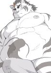  2024 anthro blush bodily_fluids bulge clothing felid genital_fluids hi_res hitachi_(tamacolle) hysk kemono male mammal moobs musclegut muscular nipples overweight overweight_male pantherine precum simple_background solo tamacolle tiger underwear white_background 