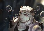  1boy absurdres air_bubble animal_ears arknights bara bubble furry furry_male highres light_frown looking_ahead male_focus mountain_(arknights) muscular muscular_male neck_fur pectoral_cleavage pectorals portrait scar scar_across_eye short_hair solo thick_eyebrows tiger_boy tiger_ears white_hair yoku_(ego) 