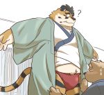 2024 anthro asian_clothing belly black_nose blush brown_body canid canine canis clothing domestic_dog duo east_asian_clothing eyewear felid fundoshi glasses hi_res hon55728 humanoid_hands japanese_clothing kemono male mammal overweight overweight_male pantherine question_mark red_clothing red_fundoshi red_underwear tiger underwear 