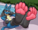  2024 4_toes ambiguous_gender anthro black_body black_fur blue_body blue_fur chest_spike claws eyelashes featureless_chest feet feet_on_table foot_focus fur generation_4_pokemon hand_spike hi_res loodrick lucario multicolored_body multicolored_fur nintendo pawpads pokemon pokemon_(species) red_eyes sitting solo spikes spikes_(anatomy) toe_claws toes 