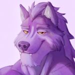  absurd_res amarox amarox_(character) anthro bust_portrait canid canine canine_teeth canis digital_media_(artwork) digital_painting_(artwork) hair hi_res looking_at_viewer male mammal muscular portrait simple_background smile solo wolf yellow_eyes 