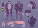  amarox amarox_(character) anthro balls belly canid canine canis digital_drawing_(artwork) digital_media_(artwork) genitals hair hi_res male mammal model_sheet musclegut muscular navel nipples nude penis pubes solo standing tail wolf 