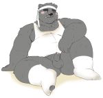  2019 anthro balls belly black_nose blush clothing cute_fangs erection humanoid_hands jumperbear male mammal one_eye_closed overweight overweight_male penis shirt simple_background sitting solo ursid white_background wink 