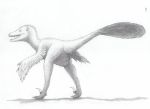  2019 ambiguous_gender anatomically_correct animal_genitalia biped butt claws cloaca dinosaur e621_exclusive feathered_dinosaur feathered_wings feathers feet feral full-length_portrait greyscale hi_res looking_at_viewer monochrome nude open_mouth pencil_(artwork) portrait presenting raised_tail raptor reptile scalie simple_background solo standing subtle_cloaca tail_feathers teeth theropod toe_claws traditional_media_(artwork) white_background winged_arms wings zw3 