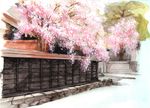  cherry_blossoms east_asian_architecture neon_(artist) no_humans original road scenery spring_(season) stone street traditional_media tree wall watercolor_(medium) 