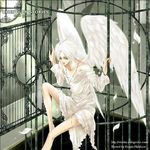  angel angel_wings cage cross feathers kisumi_halukase lowres male male_focus white_hair wings 