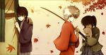  brown_eyes elizabeth_(gintama) gintama japanese_clothes katana katsura_kotarou kimono leaf male_focus maple_leaf multiple_boys muraki_kazuha red_eyes sakata_gintoki sword takasugi_shinsuke weapon yoshida_shouyou younger 