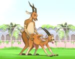  2024 all_fours anal anal_penetration antelope anthro anthro_on_anthro anthro_penetrated anthro_penetrating anthro_penetrating_anthro ass_up bovid bovine bucky_oryx-antlerson building butt day disney duo erection eyebrows fingers from_behind_position fur gemsbok genitals glans grass grazing_antelope hand_on_butt hi_res hooved_fingers hooved_toes hooves horn humanoid_genitalia humanoid_penis kudu looking_back male male/male male_penetrated male_penetrating male_penetrating_male mammal narrowed_eyes nude open_mouth open_smile oryx outside palm_tree penetration penile penile_penetration penis penis_in_ass plant pronk_oryx-antlerson sex seyrmo smile spiral-horned_antelope standing tree tuft zootopia 