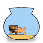 ambiguous_gender aquarium asterozoan bubble computer cyprinid cypriniform desk echinoderm electronics feral fish fish_bowl furniture goldfish hi_res keyboard marine meme sand simple_background solo starfish table ted-simp vivarium water white_background wood wood_desk wood_furniture
