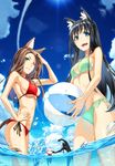  animal_ears bikini cleavage kimura_(ykimu) nekomimi swimsuits tail underboob wet 