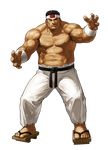  daimon_gorou eisuke_ogura king_of_fighters king_of_fighters_xiii male snk transparent_png 