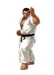  eisuke_ogura king_of_fighters king_of_fighters_xiii male sakazaki_takuma snk transparent_png 