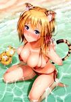  animal_ears bikini cleavage erect_nipples mikuni_mizuki swimsuits tail toranoana wet 
