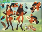  2019 anthro canid canine facial_piercing male mammal maned_wolf model_sheet muscular muscular_male nose_piercing nose_ring penis piercing solo twistedhound uncut varas 