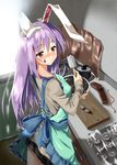  animal_ears apron blush bunny_ears chocolate chocolate_making cooking embarrassed long_hair piromizu purple_hair red_eyes reisen_udongein_inaba solo touhou valentine 