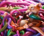  3_toes 3d_(artwork) anal anal_penetration anal_prolapse animal_genitalia animal_penis anthro anus balls bdsm bondage bound digital_media_(artwork) disney duke_weaselton erection feet feral fur genitals half-closed_eyes hi_res lying male male_penetrated mammal multiple_anal multiple_penetration mustelid musteline narrowed_eyes nude on_back open_mouth pawpads penetration penis prolapse prolapse_penetration restrained scimunk sex spread_legs spreading stretched_anus teeth toes true_musteline weasel worm zootopia 