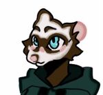 anthro any does domestic_ferret have internet invalid_tag just low_res male mammal mustelid musteline my not presence solo true_musteline weasel who