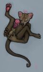 anal anal_fingering anal_penetration anatomically_correct anatomically_correct_genitalia anatomically_correct_penis animal_genitalia animal_penis anthro aroused_male balls balls_touching big_penis bodily_fluids bunnylikerabid claws colored_sketch digital_drawing_(artwork) digital_media_(artwork) drawing edging erection euplerid eyes_closed feet feral feral_anatomy feral_penetrating fingering fingering_self flared_penis fossa fossa_genitalia fossa_penis fossa_tail genital_fluids genitals huge_penis line_art male mammal masturbation nude_anthro open_mouth pawpads penetration penile_spines penis precum presenting quadruped sheath sketch solo spread_legs spreading toe_claws tongue tongue_out