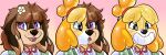  2024 accessory animal_crossing animate_inanimate anthro anthro_to_inanimate black_eyes black_nose blonde_hair blush brown_hair bust_portrait canid canine canis digital_media_(artwork) domestic_dog female flower flower_in_hair glistening glistening_body hair hair_accessory hi_res inanimate_transformation inflatable isabelle_(animal_crossing) living_inflatable mammal nintendo permagrin plant pooltoy_transformation portrait purple_eyes rindeadsong seam_(sewing) sequence simple_background smile solo surprised transformation 