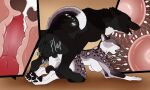  animal_genitalia anthro anthro_on_feral anthro_penetrated balls bestiality black_body black_fur bodily_fluids canid canine cum cum_in_vagina cum_inside cutaway duo echo_(wolffylegend) erection eyes_closed facial_spots fangs felid female female_penetrated feral feral_penetrating feral_penetrating_anthro fur genital_fluids genitals grey_balls grey_body grey_fur grey_sheath hi_res impregnation internal killthe_demon knot knotting male male/female male_penetrating male_penetrating_female mammal nude open_mouth penetration penile penile_penetration penis_in_vagina sex sheath spotted_arms spotted_face spotted_legs teeth tongue tongue_out vaginal vaginal_penetration vera_(killthe_demon) white_body white_fur 