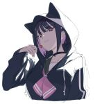  1girl animal_hood black_choker black_hair black_jacket blue_archive candy cat_hood choker colored_inner_hair commentary_request cropped_torso food highres holding holding_candy holding_food holding_lollipop hood hood_up hooded_jacket jacket kazusa_(blue_archive) lollipop long_sleeves looking_at_viewer multicolored_hair neckerchief no_halo pink_hair pink_neckerchief red_eyes short_hair simple_background sketch smile solo white_background yamamoto_kichiko 