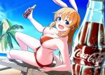  1girl :d absurdres animal_ears arm_support arm_up bare_legs barefoot beach bikini blue_eyes blurry blurry_foreground blush bottle breasts brown_hair butt_crack charlotte_e._yeager cleavage cloud coca-cola collarbone commentary_request day depth_of_field drink dutch_angle from_behind glasses highres hiroshi_(hunter-of-kct) holding holding_bottle large_breasts leaning_back long_hair looking_at_viewer navel ocean open_mouth outdoors palm_tree product_placement rabbit_ears rabbit_girl rabbit_tail reclining red_bikini red_shorts short_shorts shorts sideboob sitting sky smile soda_bottle solo spread_toes strike_witches swimsuit tail teeth toes tongue tree twitter_username upper_teeth_only world_witches_series 