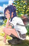  1girl absurdres bag black_socks blue_eyes blue_hair blue_sky blush bunbun_(midukikome) bush cloud commentary_request green_neckerchief grey_sailor_collar grey_skirt highres looking_at_viewer love_live! love_live!_sunshine!! matsuura_kanan neckerchief outdoors sailor_collar school_bag school_uniform shirt shoes skirt sky socks solo sparkle squatting summer_uniform sunlight uranohoshi_school_uniform white_shirt 