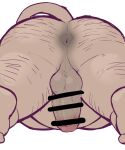 12beat13 anus balls belly bent_over big_butt bodily_fluids butt censored erection genitals hi_res male mammal moobs overweight penis simple_background solo suid suine sus_(pig) sweat white_background wild_boar
