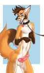  anthro balls canid canine collar erection eyewear fox glasses hi_res knot leash looking_at_viewer male mammal nipples open_mouth penis ramaelfox solo tairak tongue tongue_out 