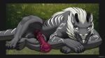 animal_genitalia animal_penis balls black_body black_claws black_fur black_horn black_pawpads blue_eyes claws dragon equine_genitalia equine_penis erection felkin feral flared_penis fur furred_dragon furred_scalie genitals grass hi_res horn hybrid_genitalia hybrid_penis knot knotted_equine_penis knotted_penis looking_at_viewer male medial_ring mythological_creature mythological_scalie mythology pawpads penis plant purple_knot purple_penis scalie sheath solo white_body white_fur yonivi